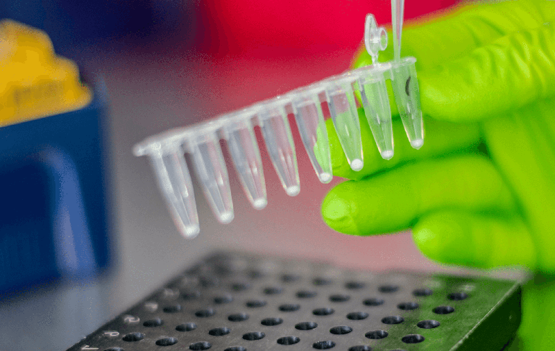 Air Dryable™ Lyo Ready™ Enzymes