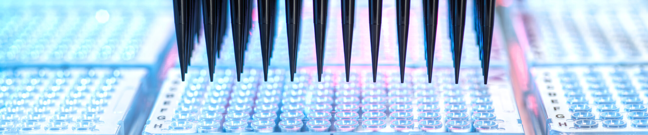 High throughput screening automated pipetting system