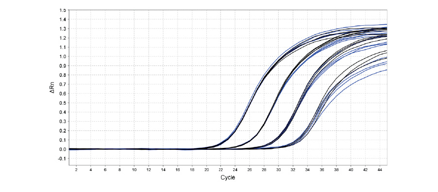 Glycerol-Free Taq HS High Conc. DNA Polymerase graph