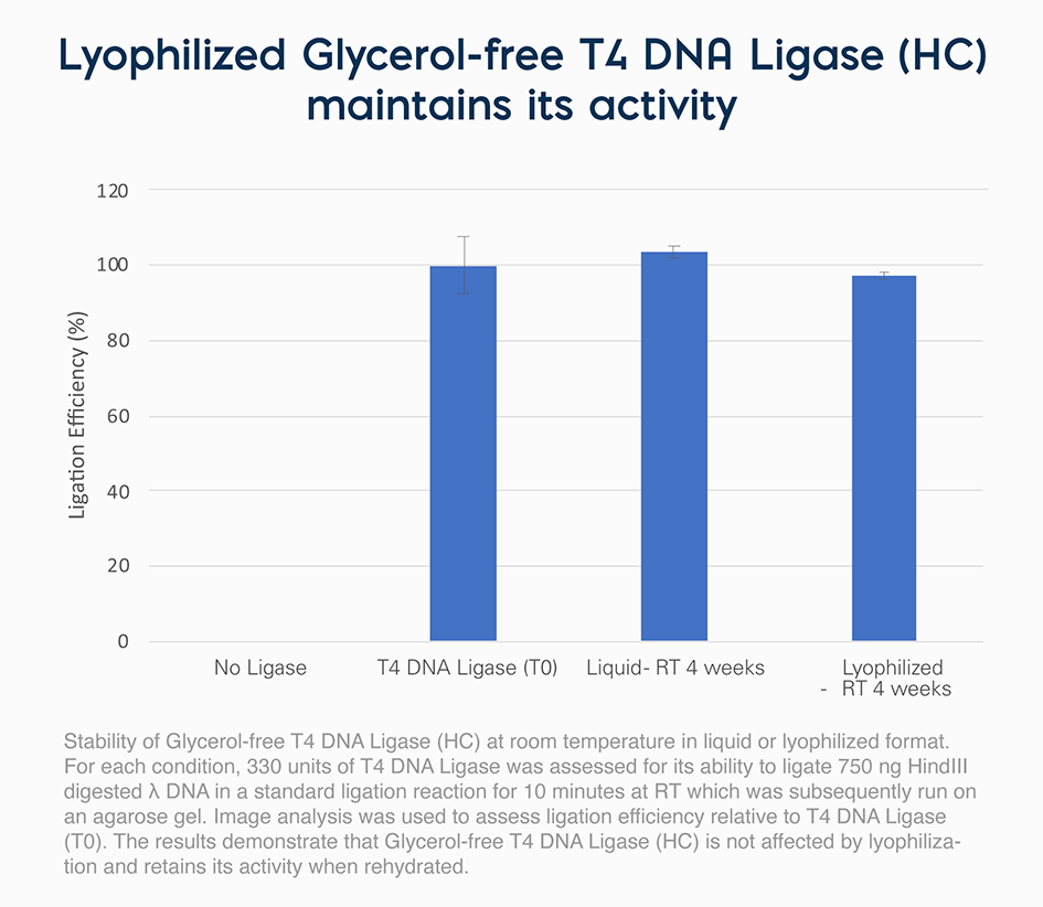 Lyophilized Glycerol-free T4 DNA Ligase (HC) maintains its activity graph