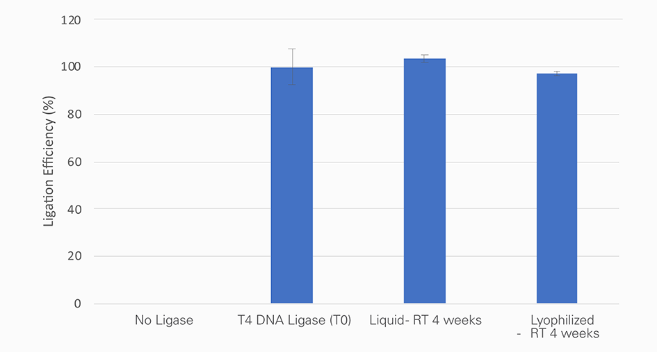 Lyophilized Glycerol-free T4 DNA Ligase (HC) maintains its activity graph