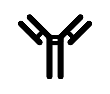 Icon antibody pxV