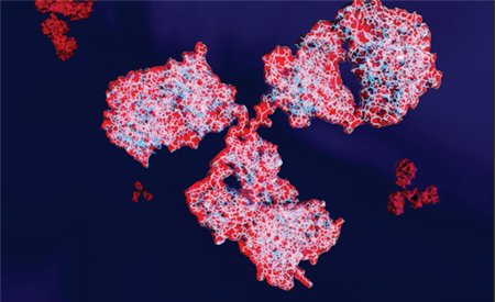 immunoblocking-catalog