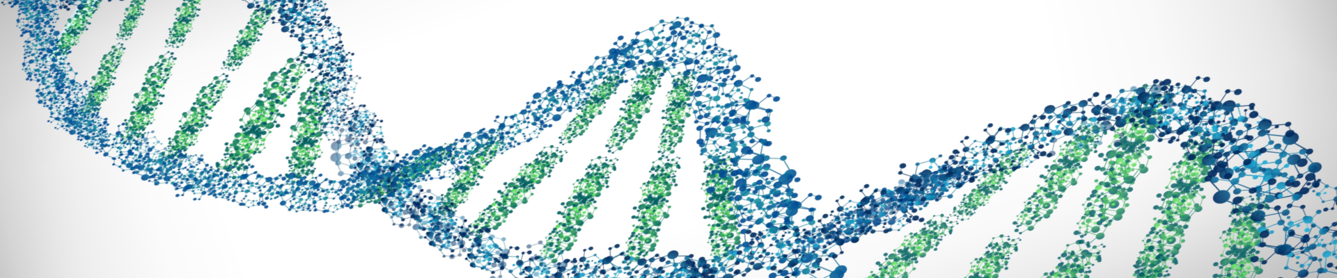 DNA strand