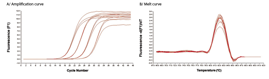 Low DNA Taq HS, 5 U/µL graph