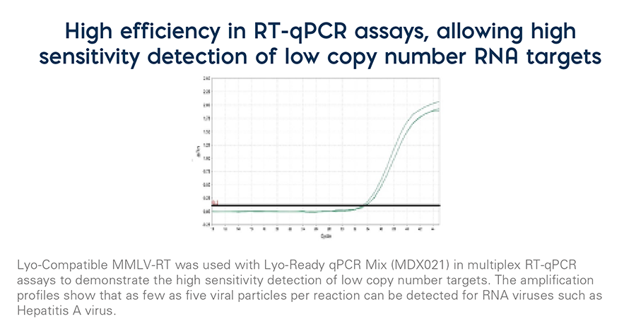 Lyo-Compatible MMLV-RT Graph