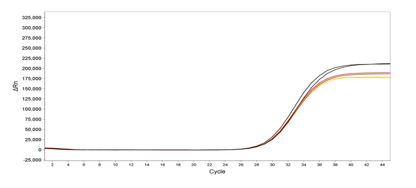 Lyo-Ready Inhibitor-Tolerant qPCR Mix, 4x Graph