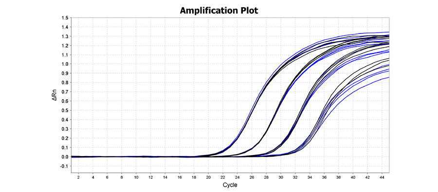 Taq HS Antibody graph