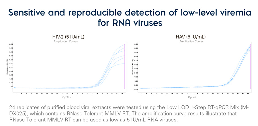 RNase-Tolerant MMLV-RT Graph