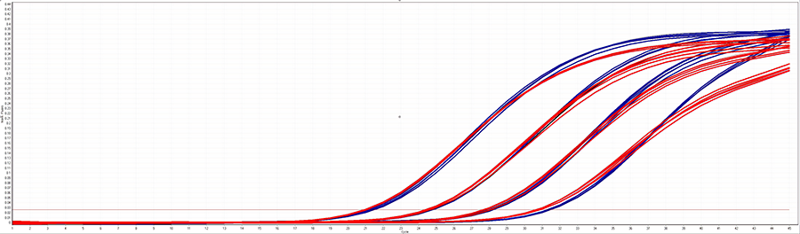 Highly sensitive multiplex qPCR reaction Graph