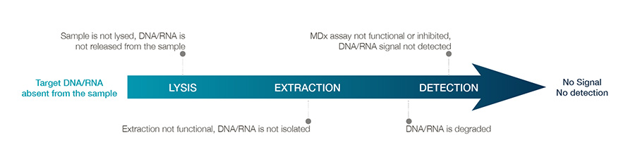 VLP-RNA Extraction Controls graph