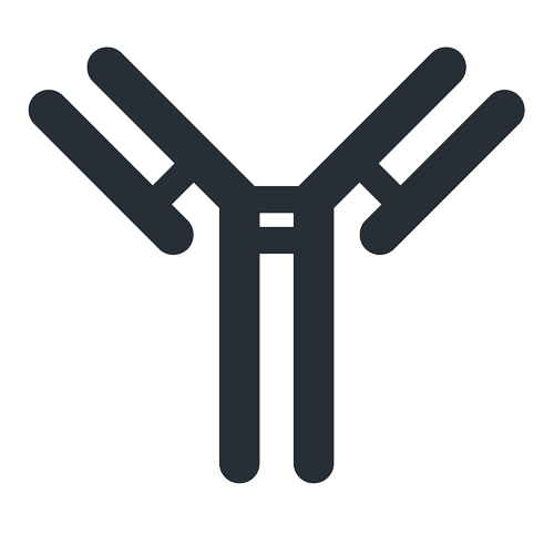 icon-antibody 