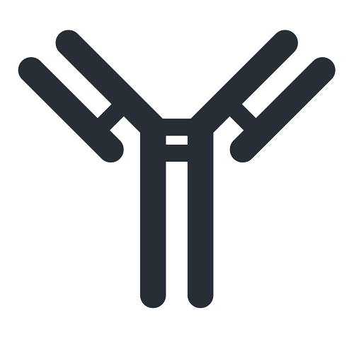 icon-antibody