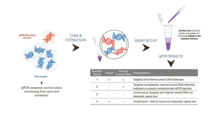 qPCR Extraction Control Workflow